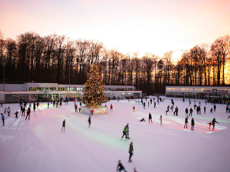 Patinoire du Dolder