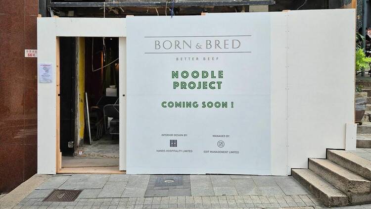 born and bred noodle project