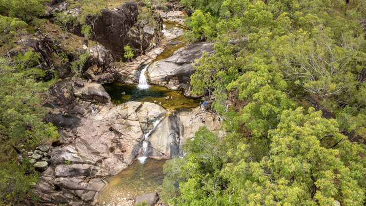 Explore Paluma Range National Park