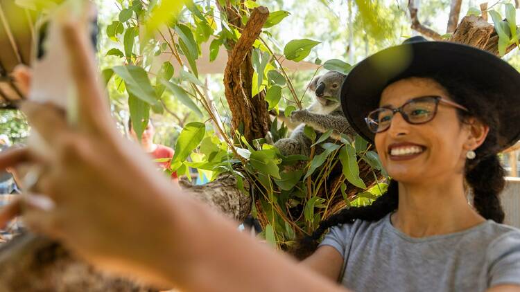 Snap a koala selfie at Billabong Sanctuary