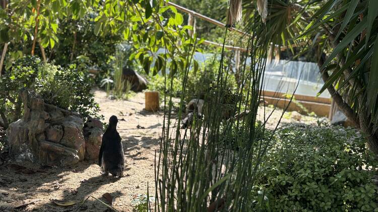 Jardim Zoológico de Lisboa