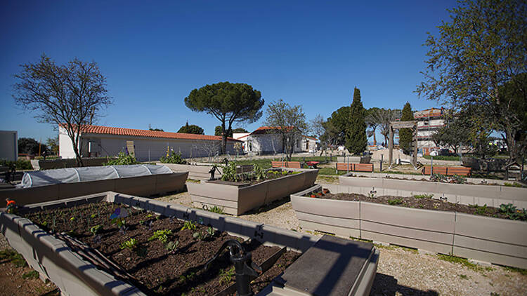 Ayuntamiento de Las Rozas