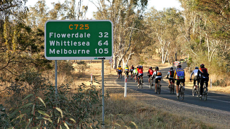 Cyclists on the Yea to Whittlesea road.