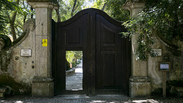 Quinta da Ribafria Quinta da Ribafria