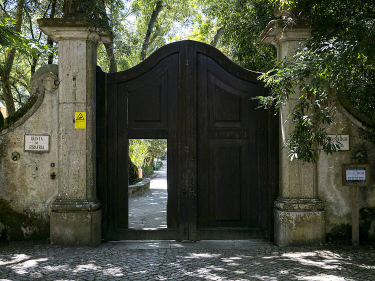 E se os espaços verdes estivessem ligados por percursos? Sintra quer criar essa rede