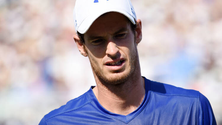 Image of Andy Murray