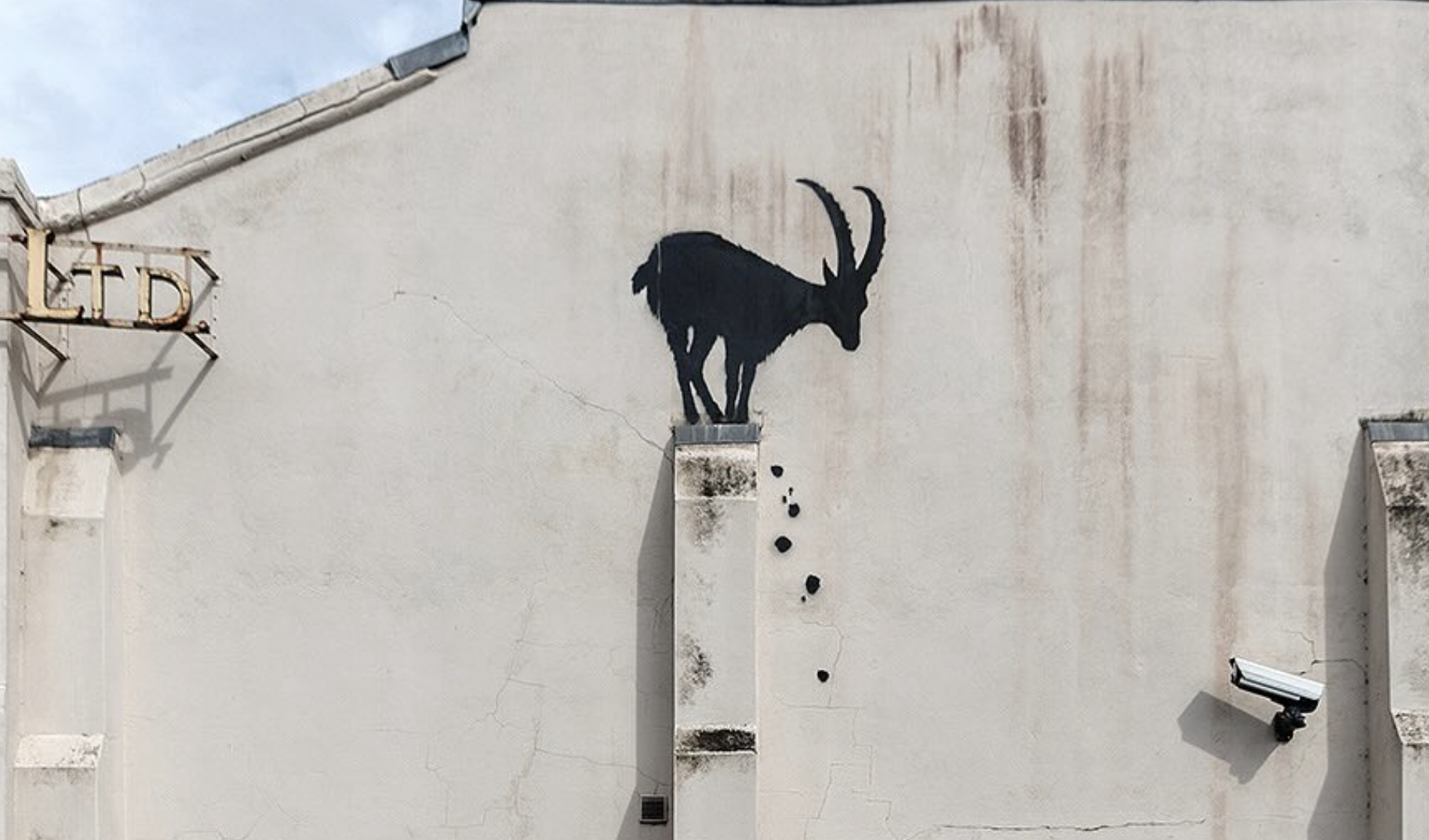 New Banksy in West London: location and potential meaning for goat artwork