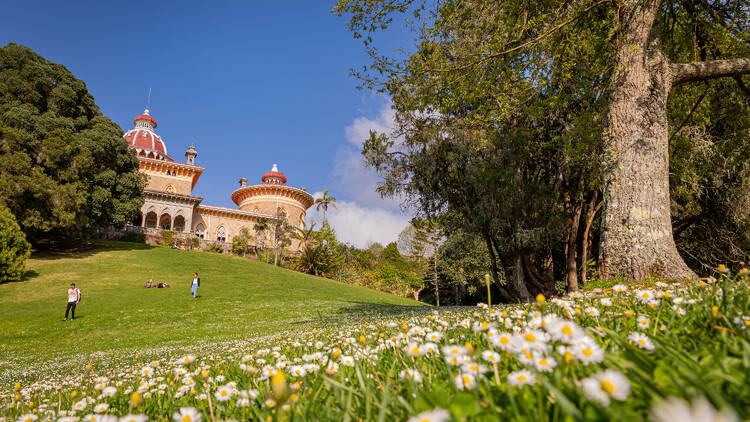 Parque de Monserrate