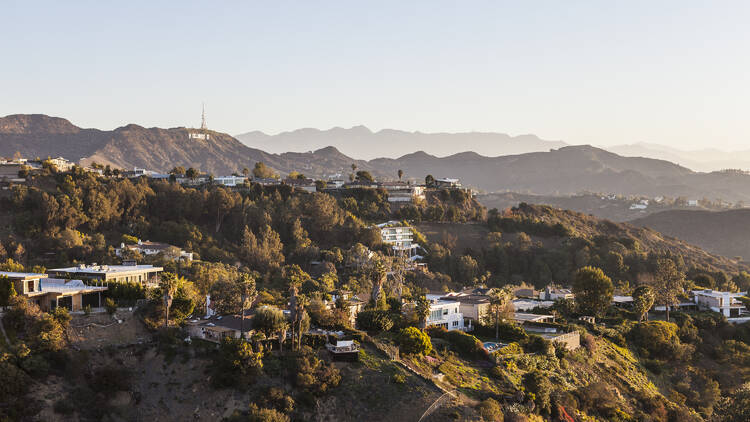 Hollywood Hills