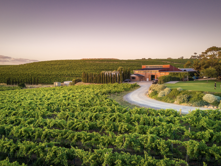 The 11 best McLaren Vale wineries