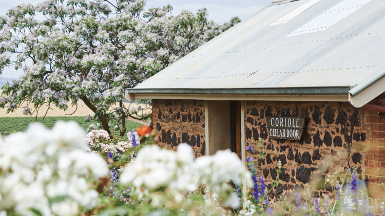 Coriole Vineyards