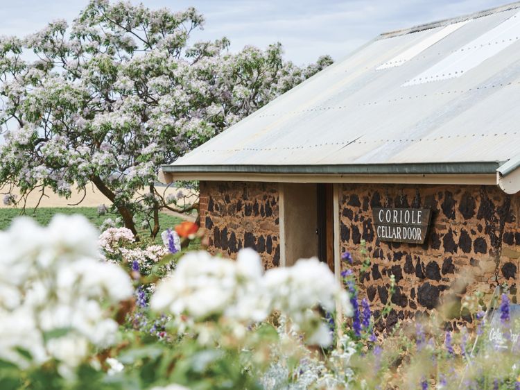 Coriole Vineyards