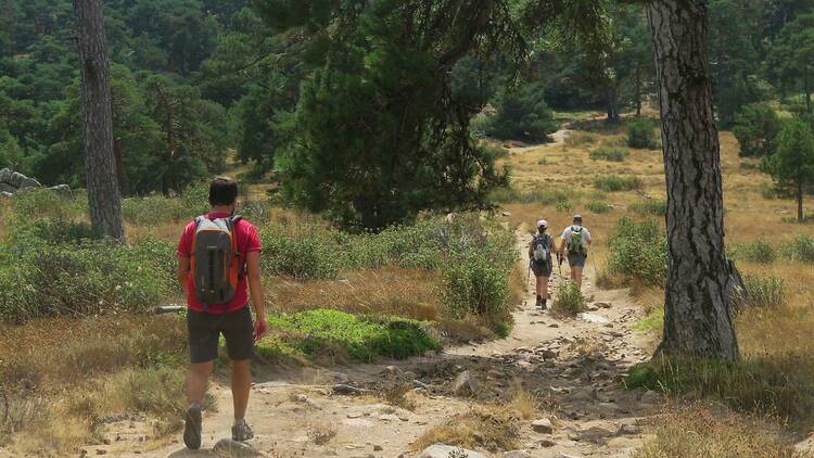 Rutas Verdes Madrid