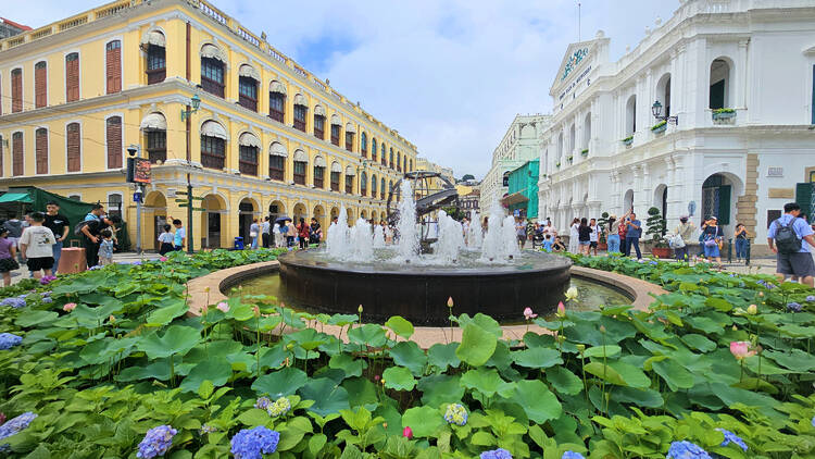 People watch in Senado Square  