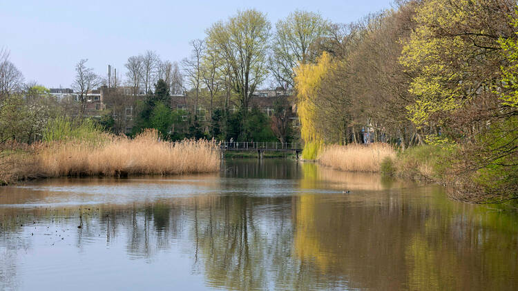 Park Frankendael