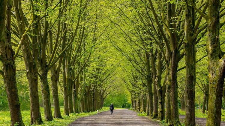 Amsterdamse Bos