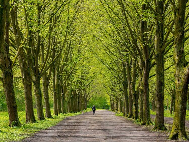 Amsterdamse Bos