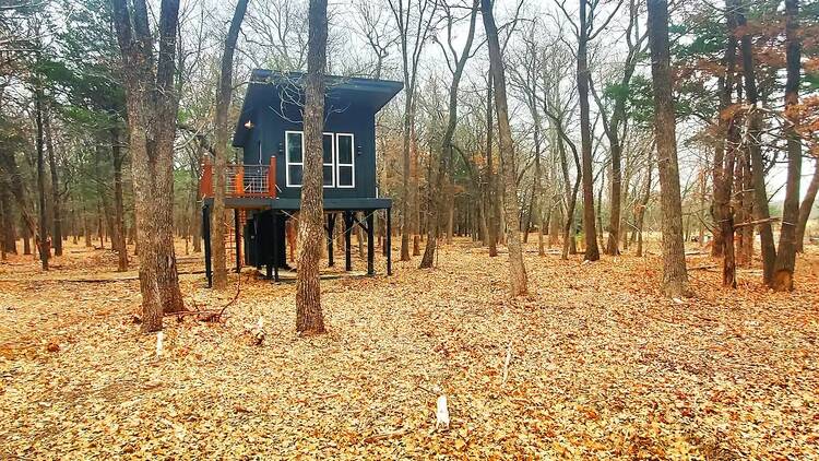 The little luxe romantic treehouse in Point