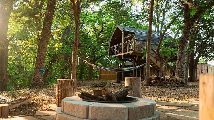 Another Hobbit treehouse, this time in Forestburg