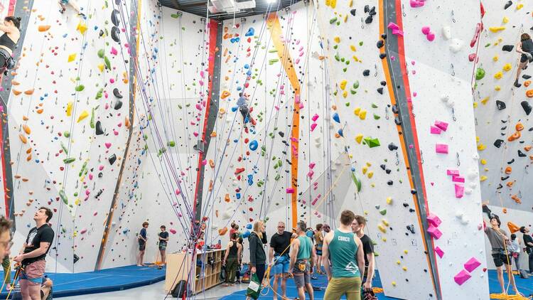 a group of people at a climbing gym