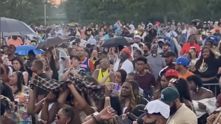 people in a concert crowd people in a concert crowd
