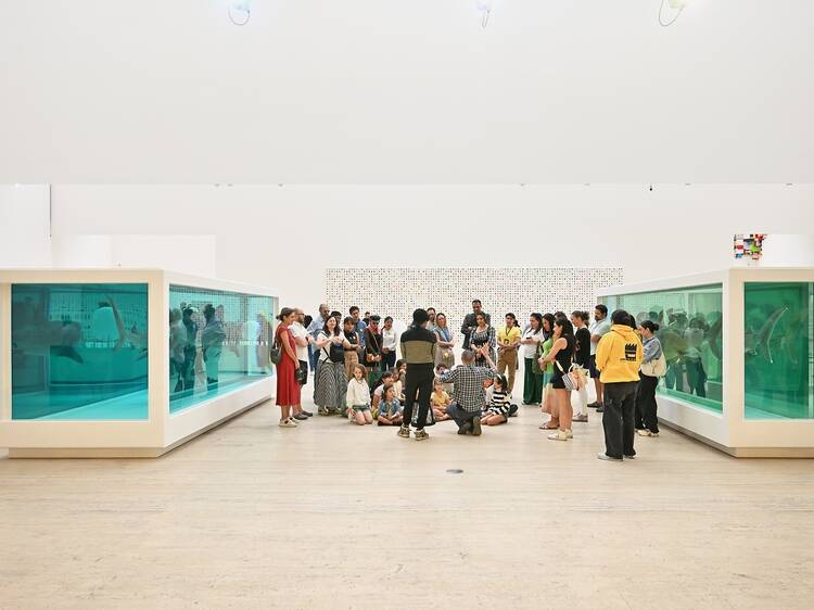 Damien Hirst en el Museo Jumex