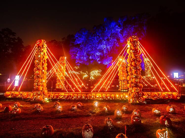 Don't miss The Great Jack O’Lantern Blaze