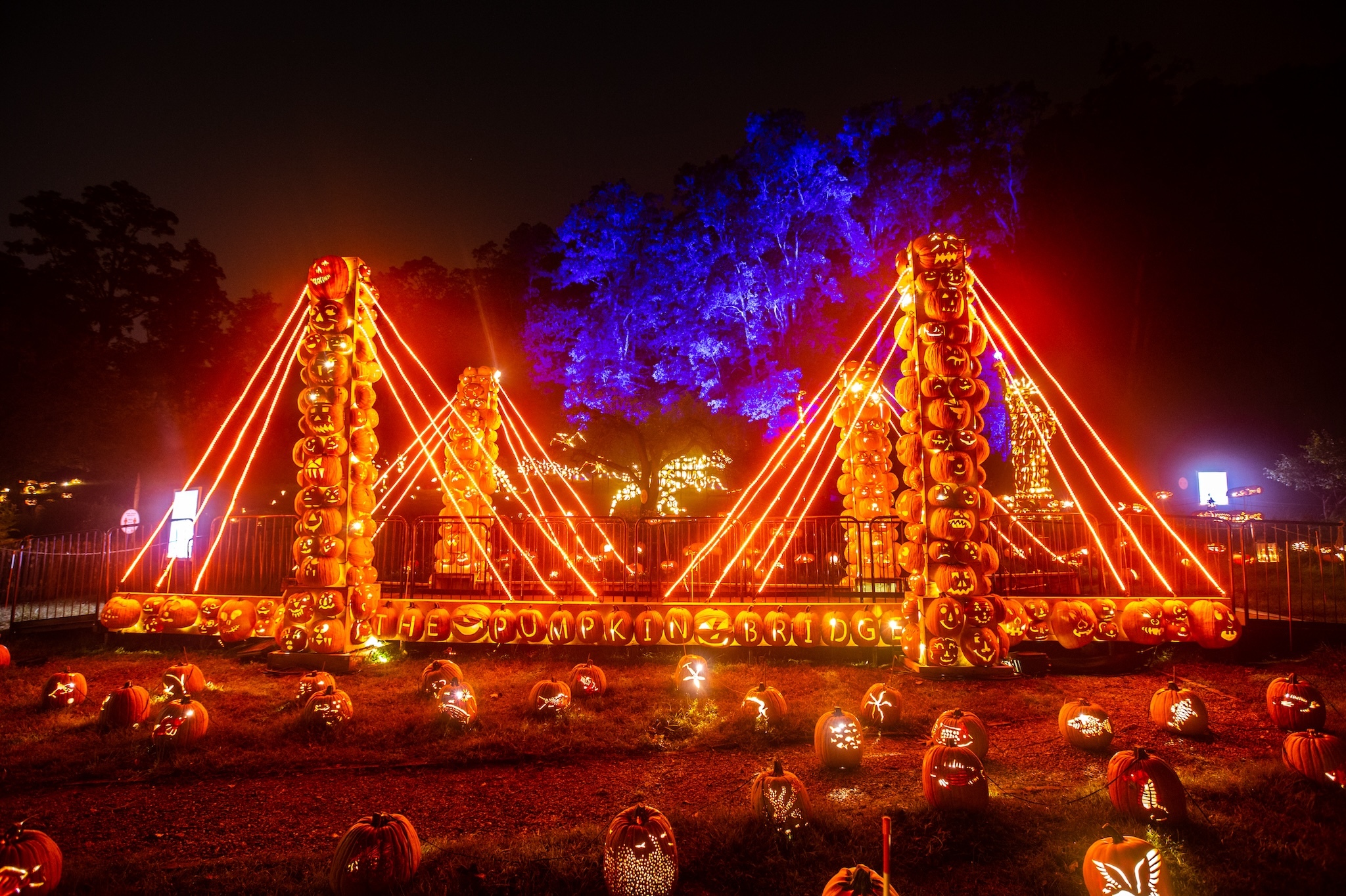 The Great Jack O’Lantern Blaze returns in September with dazzling new attractions