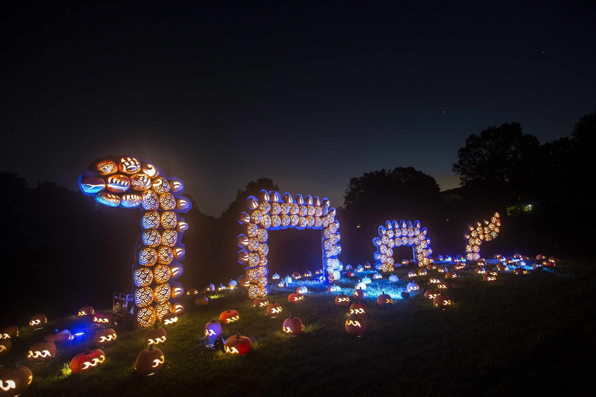 A Loch Ness Monster made up of pumpkins.