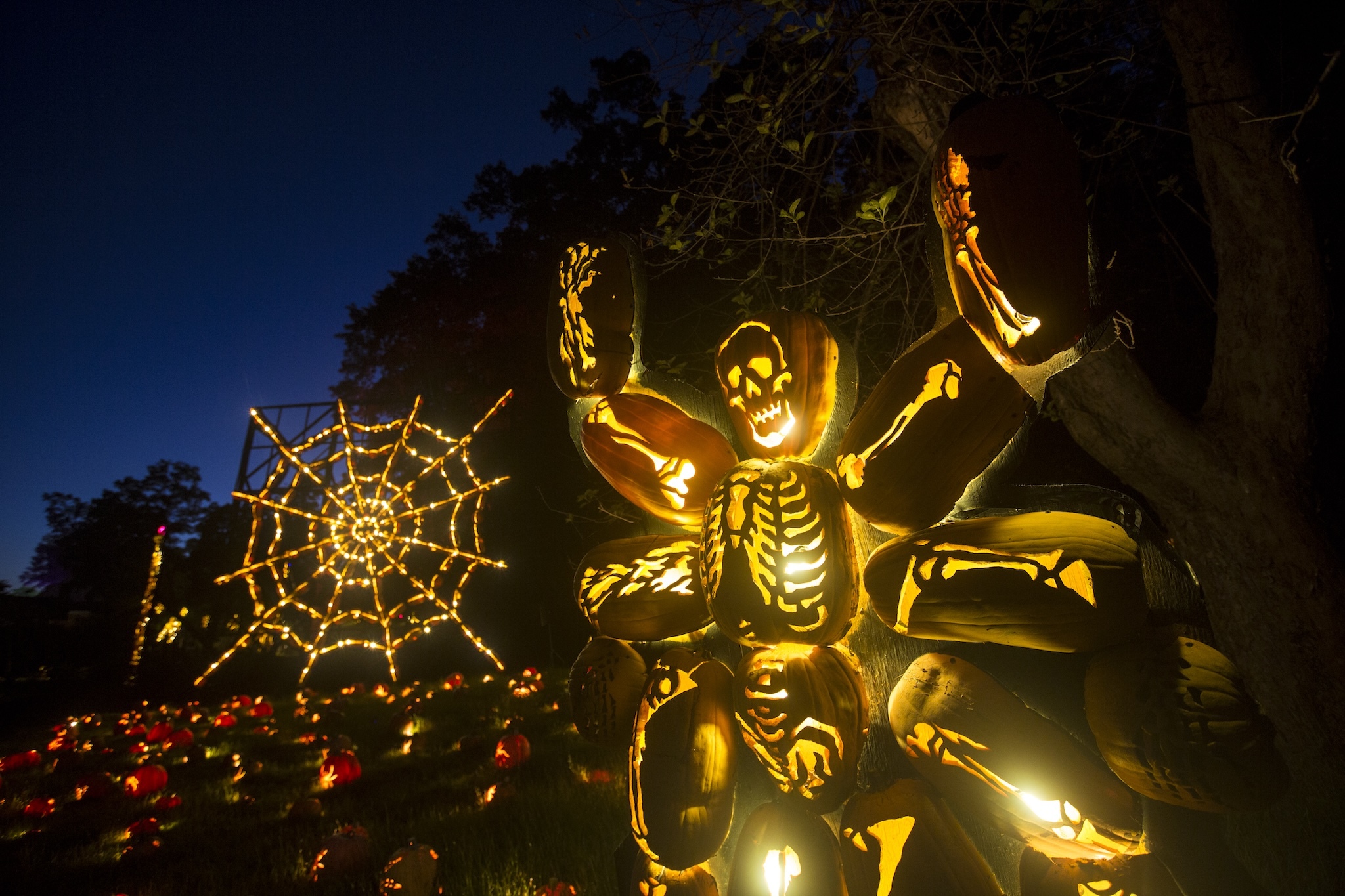 The Great Jack O'Lantern Blaze in Hudson Valley: what you need to know