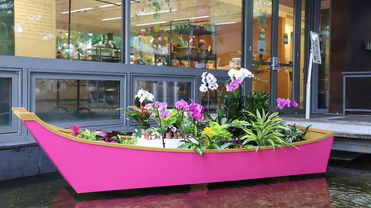 a boat full of orchids at The Taiwan: A World of Orchids exhibit at the Queens Botanical Garden