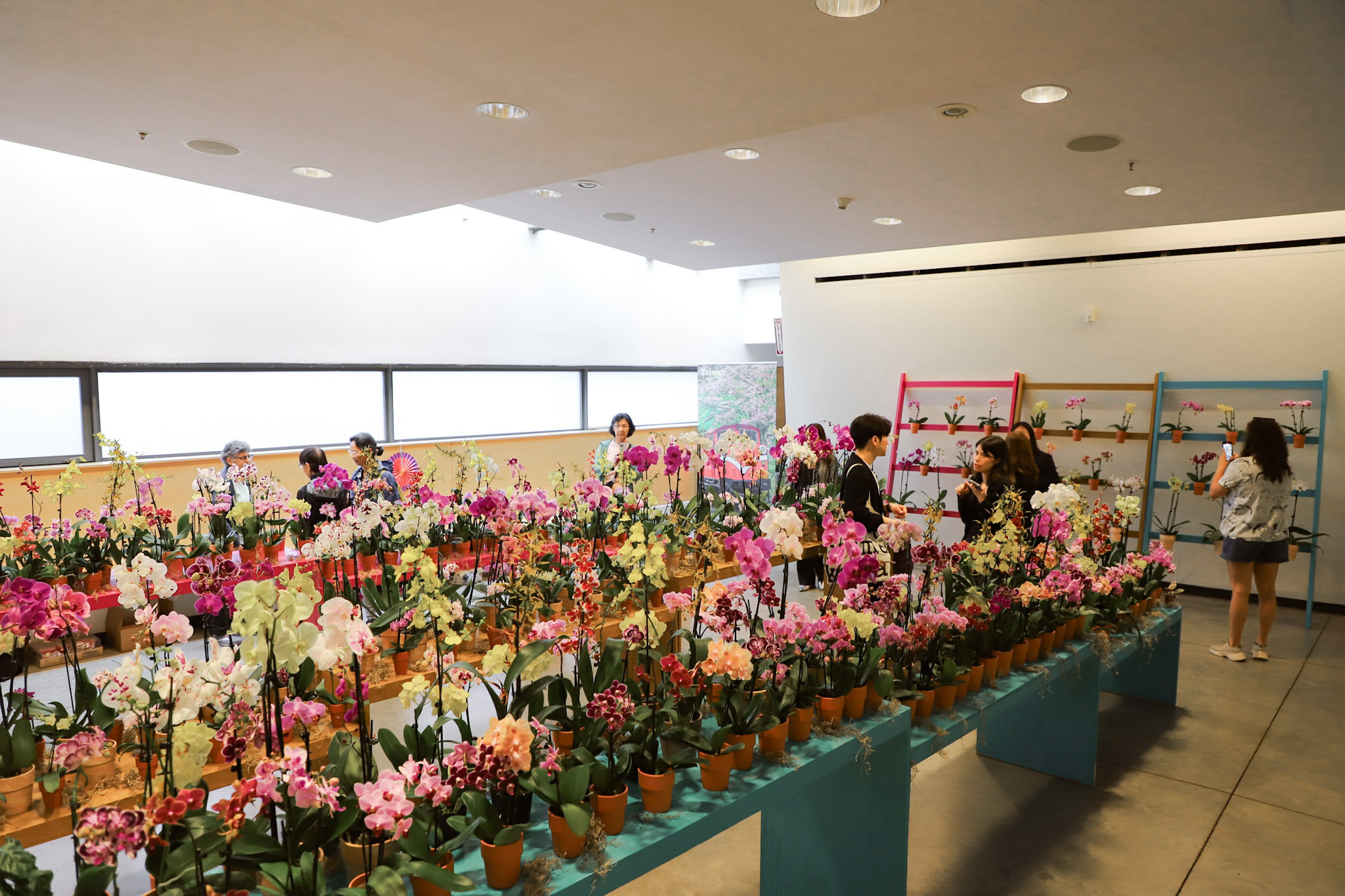 A room full of orchids at Taiwan: A World of Orchid at the Queens Botanical Garden 