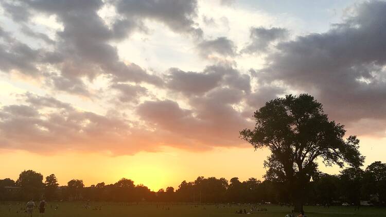 Peckham Rye Common at sunset