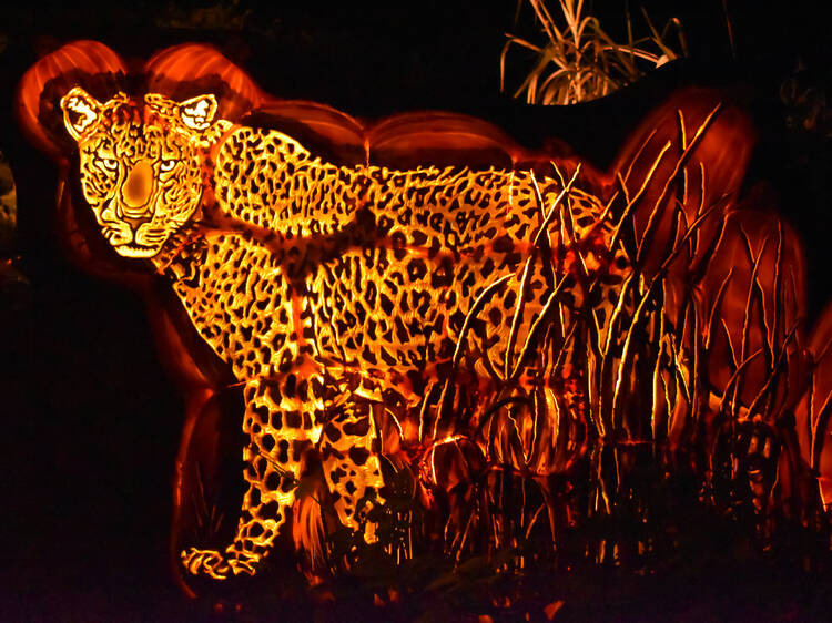 See 5,000 animal-themed jack-o'-lanterns