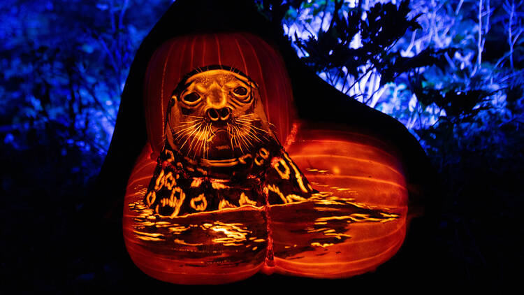 A jack-o'-lantern carved to look like a seal.