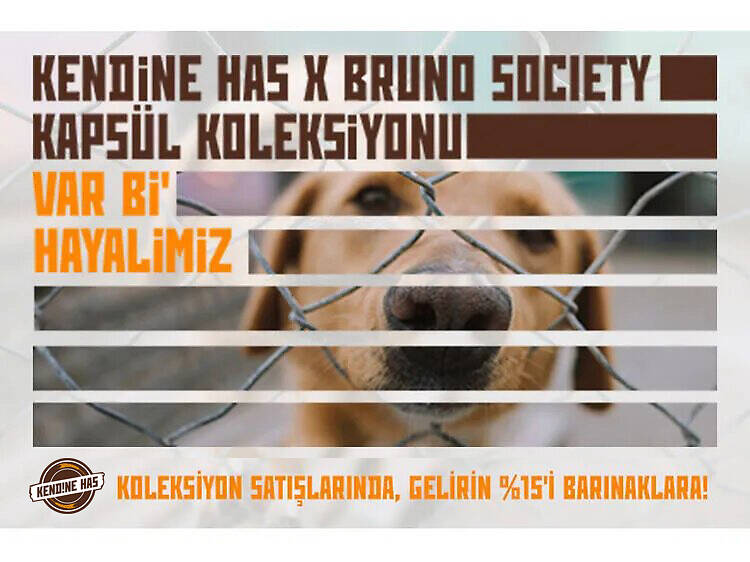 Bruno Society ve Kendine Has'tan sokak hayvanlarına destek