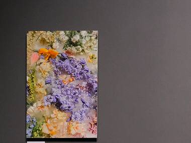 The Magical World of Photography The Magical World of Photography