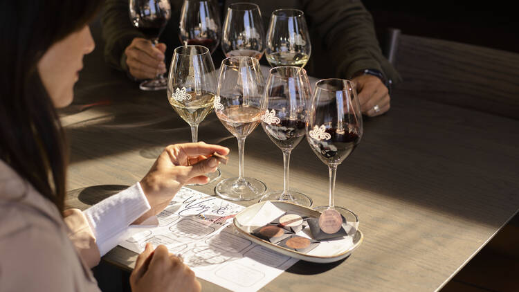 Row of wine glasses at tasting