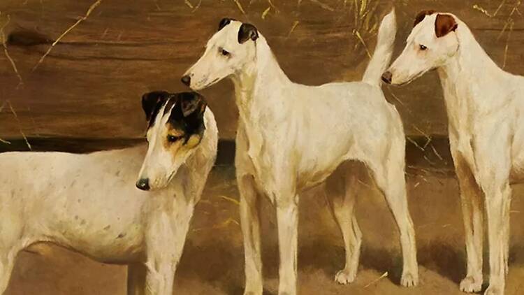 American Kennel Club Museum of the Dog