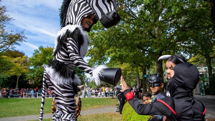 Say 'Boo' at the Zoo