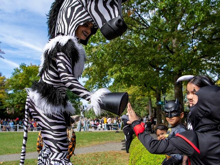 Say 'Boo' at the Zoo