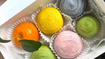 Aliya Lavaland Aliya Lavaland