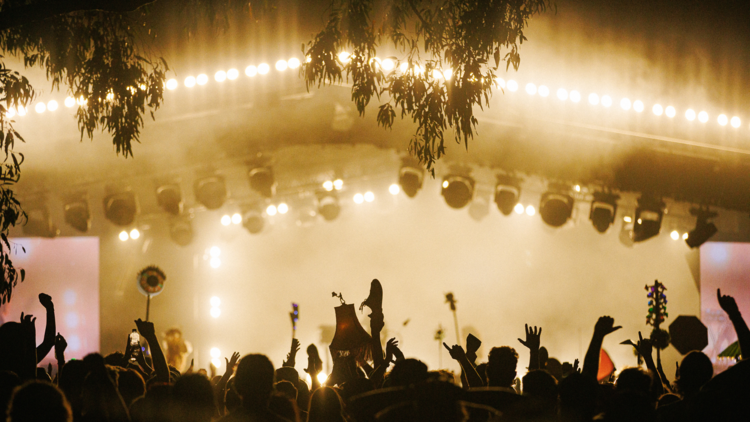 Meredith Music Festival