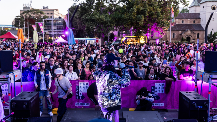 A singer performing in front of a crowd