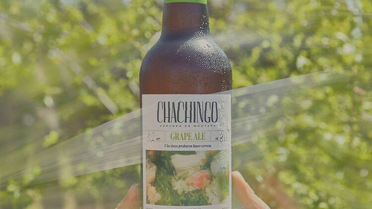 Cerveza Chachingo