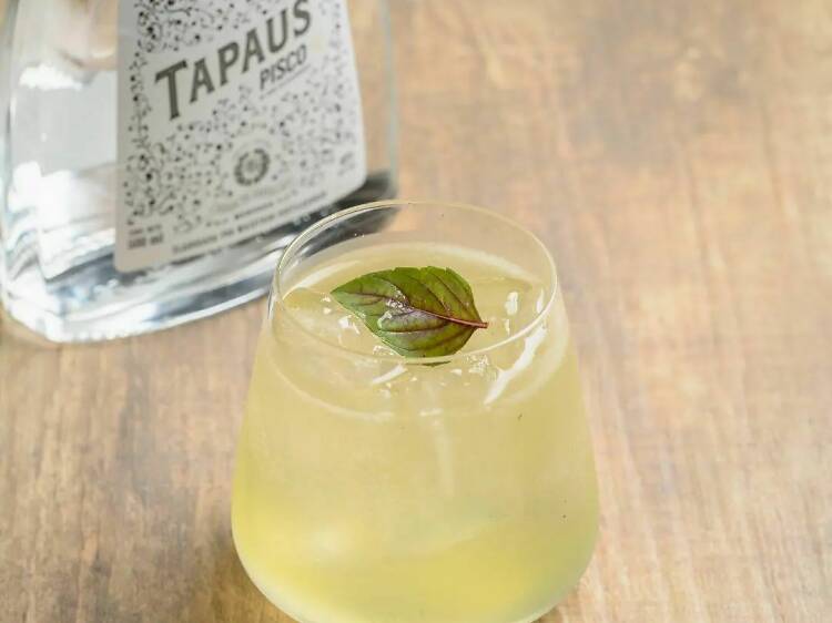 Pisco Tapaus