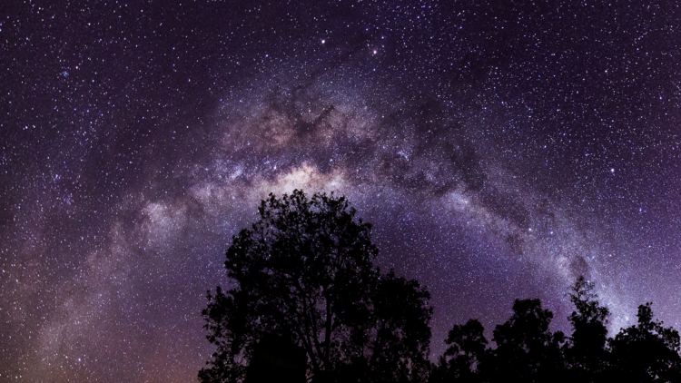 Milky Way arching over a silhouetted tree line near Canning Dam in Western Australia.