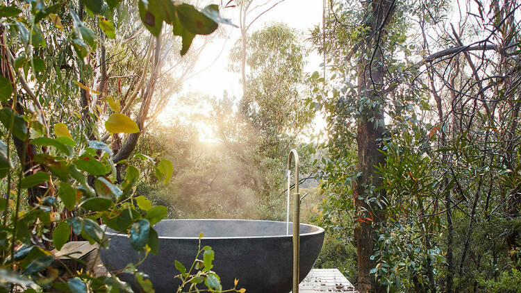 An outdoor bath in among trees.