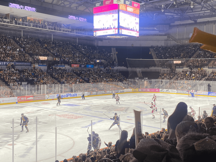 Watch a game of ice hockey