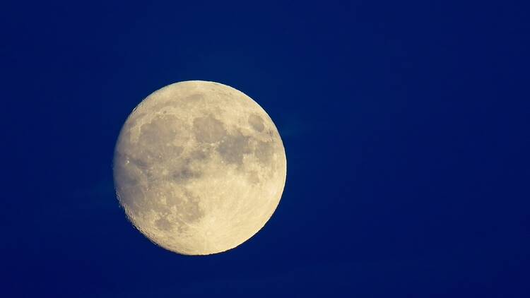 Super moon in the night sky